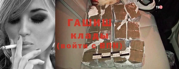 гашик Алексин