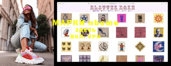 гашик Алексин