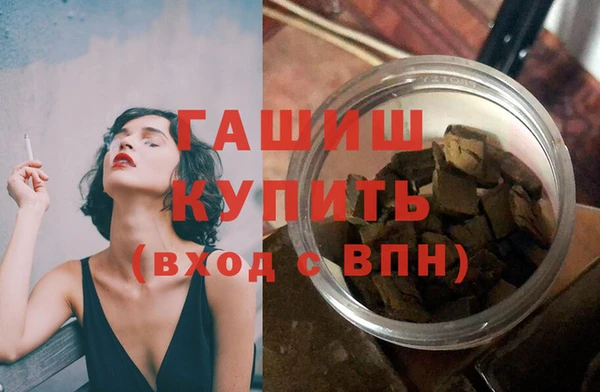 гашик Алексин