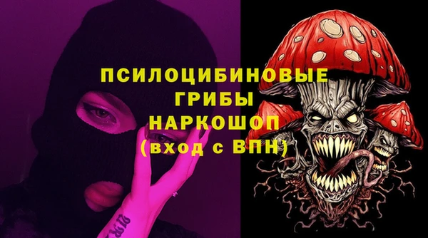 гашик Алексин
