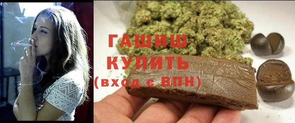 гашик Алексин