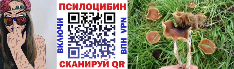 закладка  darknet какой сайт  Галлюциногенные грибы GOLDEN TEACHER  Казань 