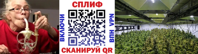 блэк спрут зеркало  купить  сайты  Казань  МАРИХУАНА индика 
